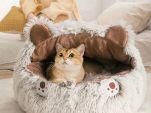 34528953 d359 4b48 8a54 395381e6ce49.jpg