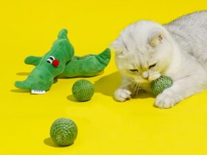 9396ca23 98ae 4c0f 848f 4ae7d6ca05c0.jpg