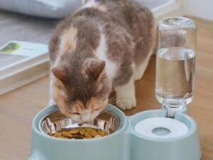 aadd5d73 decc 484c a992 18c776237fa5.jpg