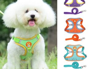 af094f8f 0856 4a52 8641 9c39b09f26a6.jpg