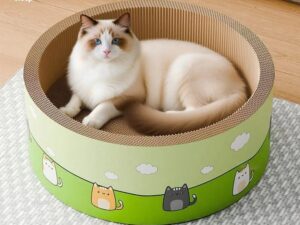 e006252d eb29 4431 806f 4c4d48c0a3f1 trans.jpeg