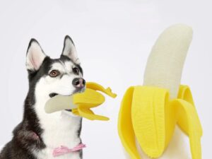 bf5caaad fd01 4268 bf56 4d8ad8253a29.jpg