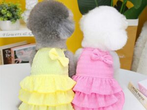 Schattige hondenjurkje