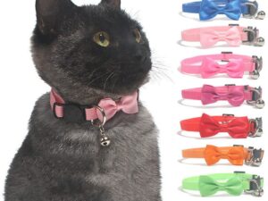 katten halsband met strikje