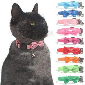 katten halsband met strikje