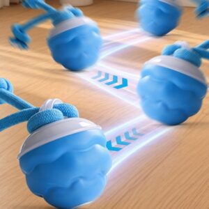 oplaadbare speelbal voor honden