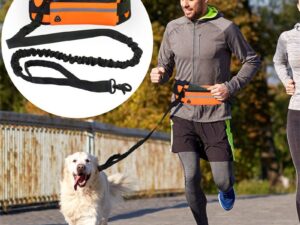 Heupriem voor Honden – Verstelbaar